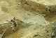 FileNo.046b-104.jpg