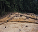 FileNo.046b-116.jpg