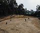 FileNo.046b-117.jpg