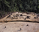 FileNo.046b-128.jpg