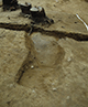 FileNo.046b-134.jpg