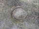 FileNo.046d-004.jpg