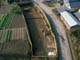 FileNo.046c-006.jpg
