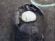 FileNo.047b-008.jpg