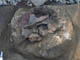 FileNo.047b-013.jpg