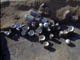 FileNo.048-018.jpg