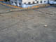 FileNo.048-021.jpg