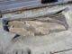 FileNo.048-022.jpg