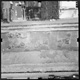 FileNo.KU-0726.jpg