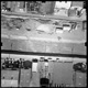 FileNo.KU-0729.jpg