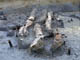 FileNo.049-005.jpg