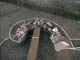 FileNo.049-020.jpg