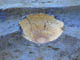 FileNo.050b-005.jpg