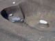 FileNo.050b-022.jpg
