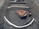FileNo.050a-003.jpg