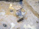 FileNo.050a-005.jpg