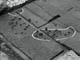 FileNo.051b-005.jpg