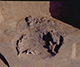 FileNo.051c-007.jpg