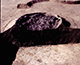 FileNo.051c-008.jpg