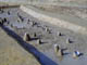 FileNo.052-018.jpg