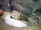FileNo.053-007.jpg