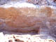 FileNo.053-009.jpg