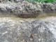 FileNo.053-014.jpg