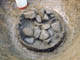 FileNo.053-019.jpg