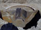 FileNo.053-024.jpg