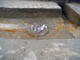 FileNo.053-031.jpg