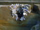 FileNo.053-051.jpg