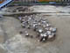 FileNo.053-053.jpg