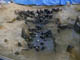 FileNo.053-060.jpg