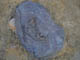 FileNo.053-061.jpg