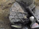 FileNo.053-063.jpg
