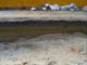 FileNo.053-068.jpg