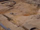 FileNo.053-084.jpg