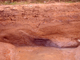 FileNo.053-201.jpg