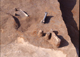 FileNo.053-208.jpg