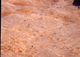 FileNo.053-211.jpg