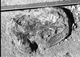 FileNo.053-213.jpg