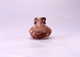 FileNo.053-382.jpg
