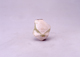 FileNo.053-388.jpg