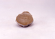 FileNo.053-404.jpg