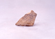 FileNo.053-408.jpg