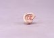FileNo.053-411.jpg