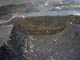 FileNo.054-002.jpg