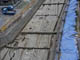 FileNo.054-008.jpg