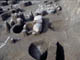 FileNo.054-013.jpg