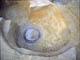 FileNo.054-027.jpg